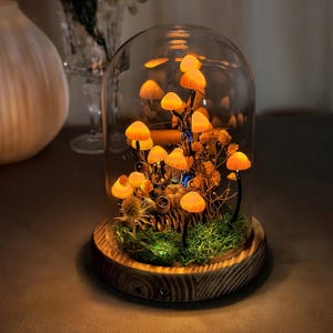 May include: A decorative glass cloche with illuminated orange mushroom lights. The mushrooms are arranged with dried plants and moss on a wooden base. The cloche is a unique home decor item.
