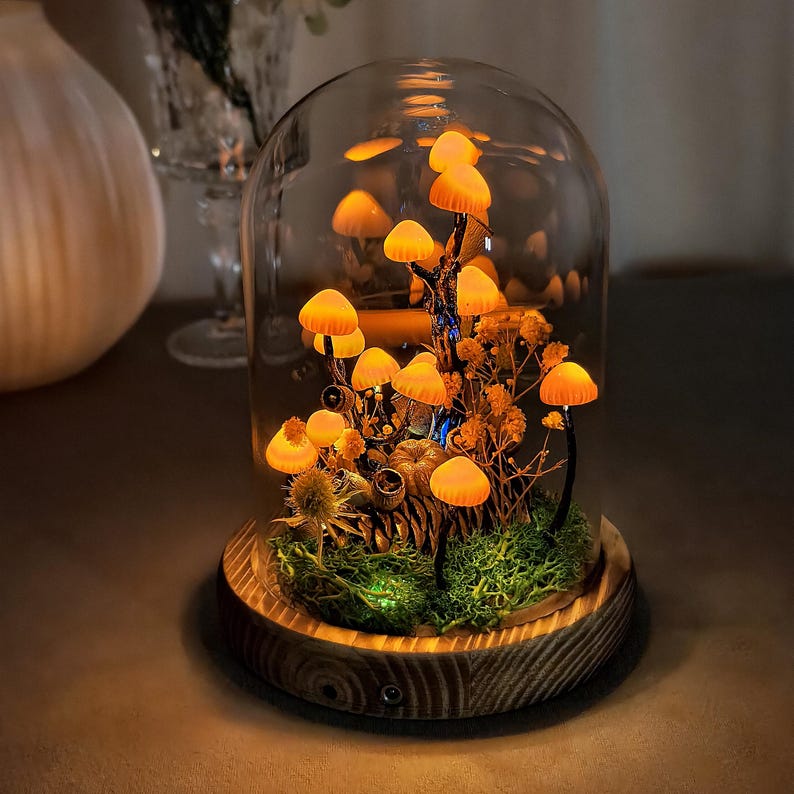 May include: A decorative glass cloche with illuminated orange mushroom lights. The mushrooms are arranged with dried plants and moss on a wooden base. The cloche is a unique home decor item.