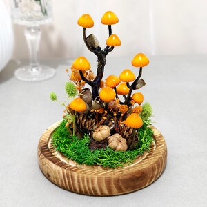 May include: A decorative terrarium featuring miniature orange mushroom sculptures with brown stems, set amidst green moss, pinecones, and small pumpkins. The arrangement is housed in a wooden base, creating a whimsical, natural scene.