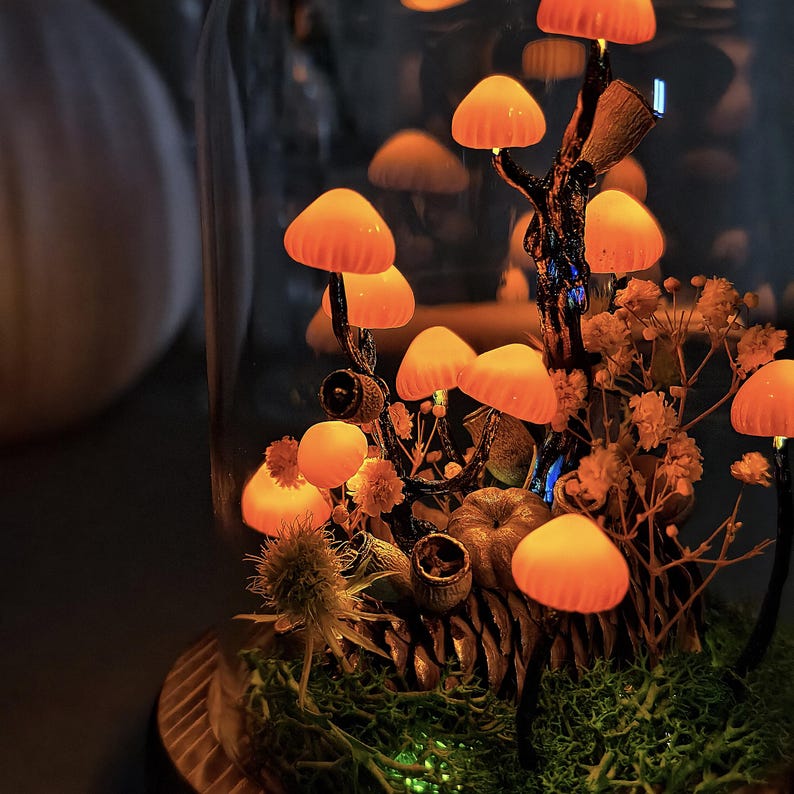 May include: A decorative glass cloche featuring a miniature woodland scene with glowing orange mushroom lights. The scene includes moss, dried flowers, and small pumpkins, creating a whimsical, autumnal display.