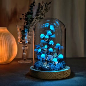 May include: A glass dome with a wooden base containing a glowing blue mushroom forest. The mushrooms are arranged in a cluster and appear to be growing from a bed of moss. The dome is illuminated from within, creating a magical and whimsical atmosphere.