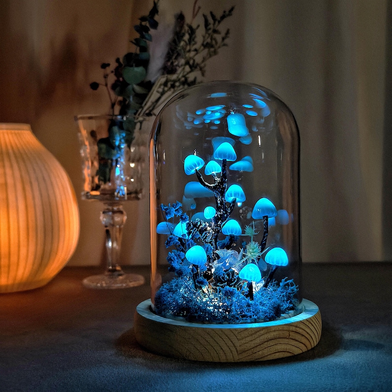 May include: A glass dome with a wooden base containing a glowing blue mushroom forest. The mushrooms are arranged in a cluster and appear to be growing from a bed of moss. The dome is illuminated from within, creating a magical and whimsical atmosphere.