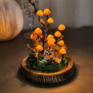 May include: A decorative illuminated mushroom display. The arrangement features glowing orange mushroom caps on a dark branch, set within a wooden base with moss and small pumpkins. The mushrooms are lit with small fairy lights.