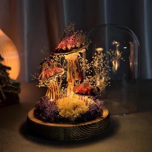 May include: A decorative mushroom display under a glass dome. The mushrooms have red and brown caps with intricate patterns, illuminated by a warm light. The base is made of wood, and the display includes dried flowers and moss.