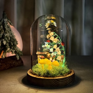 Puede incluir: Una campana de cristal decorativa con base de madera, que muestra una escena de jardín en miniatura. En el interior, una vibrante exhibición de setas amarillas, musgo verde y una planta floreciente con mariquitas se ilumina con una luz suave, creando un ambiente encantador.
