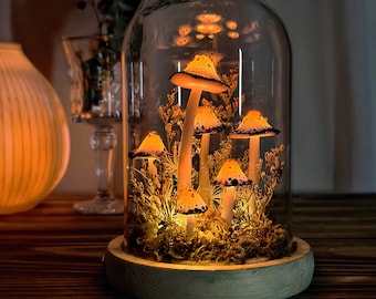 Magic Night Light | Handmade Mushroom Lamp | Anniversary Gift | Bedside Lamp | Plant Lover's Gift
