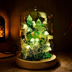 May include: A decorative glass cloche with a wooden base, housing a miniature illuminated forest scene. The scene includes glowing mushrooms, green crystals, and various plants. The cloche is lit from within, creating a warm, inviting glow.