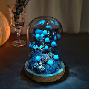 May include: A glass dome with a wooden base containing a miniature forest scene with glowing blue mushrooms. The mushrooms are arranged in a cluster on a bed of moss and greenery.