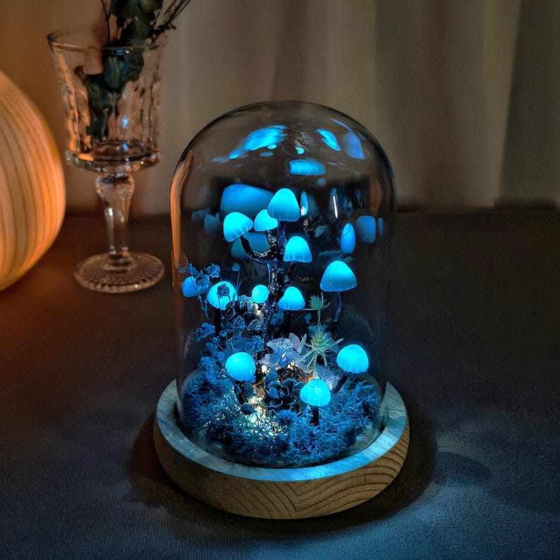 May include: A glass dome with a wooden base containing a miniature forest scene with glowing blue mushrooms. The mushrooms are arranged in a cluster on a bed of moss and greenery.