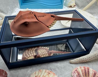 Articulated Horseshoe Crab - 3D Printed Ocean Creature  | Unique Coastal Decor -