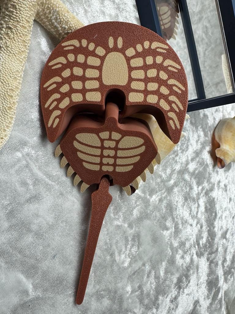 Articulated Horseshoe Crab - 3D Printed Ocean Creature | Unique