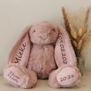 Könnte beinhalten: Ein rosa Plüschkaninchen mit langen Ohren. Der Name "Mieke" ist auf einem Ohr und das Datum "09.02.202" auf dem anderen gestickt. Der Fuß des Kaninchens zeigt "51cm 3160g" und "20:26".