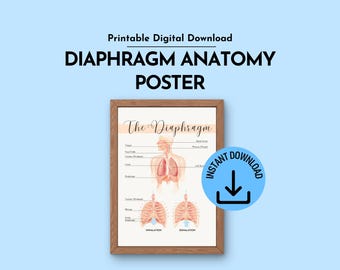 Diaphragm Anatomy Wall Art Printable Poster for Speech Therapists and SLP Clinics (Digital Download)