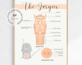 Larynx Anatomy Print | Voice Therapy Decor (Digital Download)