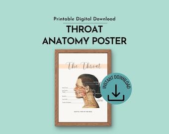 Throat Anatomy Wall Art Poster SLP Office Decor (Printable Digital Download)