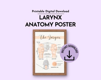 Pôster imprimível com a anatomia da laringe para fonoaudiólogos e clínicas de terapia da fala (download digital)