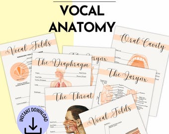 Vocal Anatomy SLP Therapy Posters | Speech Pathologist Counseling Therapy Tools | Voice Therapy Handout | Printable Anatomical Wall Art