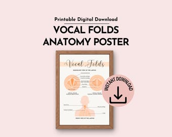 Pôster imprimível sobre a anatomia das pregas vocais para fonoaudiólogos e clínicas de terapia da fala (download digital)