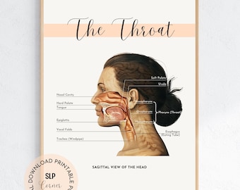 Throat Anatomy Poster | SLP Office Decor (Digital Download)
