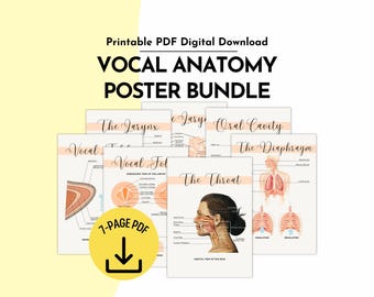 Vocal Anatomy Poster Bundle Printable PDF for Speech Therapists, Voice Coaches and Singing Teachers