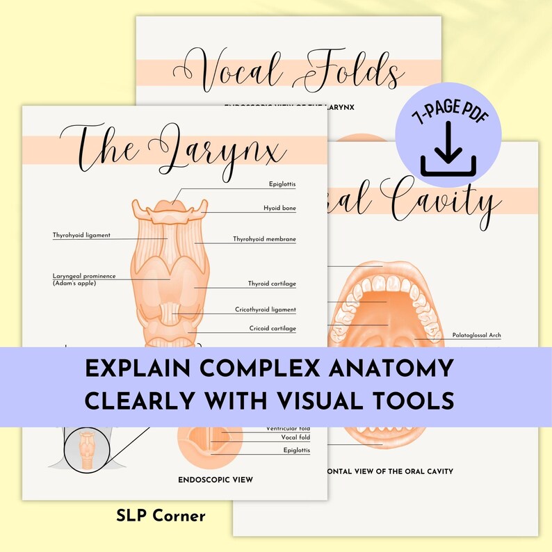 Vocal Anatomy Therapy Posters | SLP Therapy Tools and Handouts (digital ...