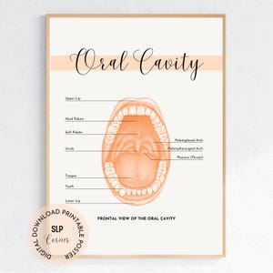Oral Cavity Anatomy Poster | SLP Therapy Office Decor | Human Anatomy Print | Speech Pathologist Essentials | Speech Therapy Decor
