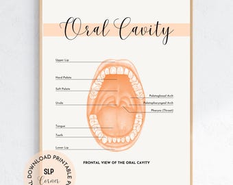 Oral Cavity Anatomy Poster | SLP Therapy Decor (Digital Download)