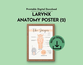 Larynx Anatomy Printable Poster for Speech Therapists and SLP Clinics (Digital Download) Version 2