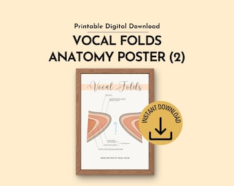 Pôster sobre a anatomia das pregas vocais para fonoaudiólogos e clínicas de terapia da fala (download digital) Versão 2