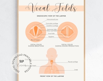Vocal Folds Anatomy Poster | SLP Office Decor (Digital Download)