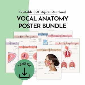 Può includere: Un download digitale PDF stampabile di un pacchetto di poster sull'anatomia vocale. La collezione include diverse tabelle educative con illustrazioni anatomiche della laringe, cavità orale, corde vocali, gola e diaframma con etichette.