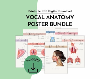 Vocal Anatomy Posters Printable PDF Bundle for Voice Therapy SLP Handout or Office Decor