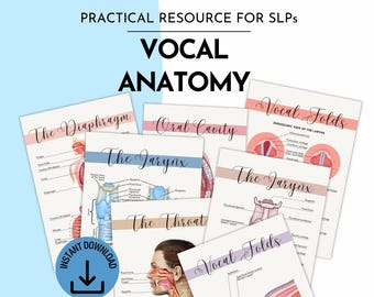 Vocal Anatomy Therapy Posters | SLP Therapy Tools and Handouts (Digital Download) - Multicolor Version