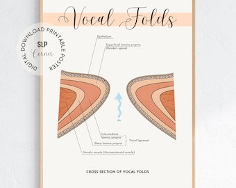 Vocal Folds Anatomy Poster | SLP Office Decor (Digital Download)