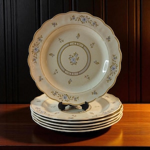 Elegant Royal Doulton Dorset Dinner Plates 6 Piece Set