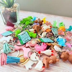 Misc. Keychains! Goose, Teddy Bear, Cowgirl Hat, Misc. Colored Spotted Docs, Book Worm