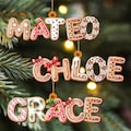 Custom Gingerbread Alphabet Ornaments, Personalised Christmas Decorations, Personalised Christmas Baubles, Christmas Name Tags, Kids Gifts