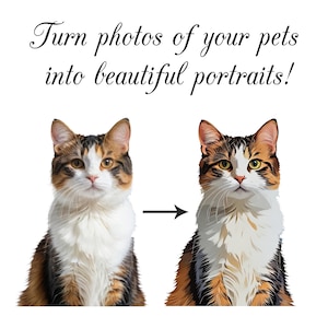 May include: A before and after image showing a cat portrait. The image on the left shows a photo of a tortoiseshell cat. The image on the right shows a stylized, cartoon-like illustration of the same cat.