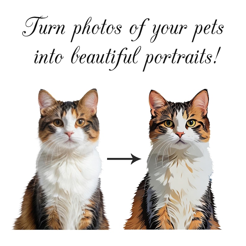 May include: A before and after image showing a cat portrait. The image on the left shows a photo of a tortoiseshell cat. The image on the right shows a stylized, cartoon-like illustration of the same cat.