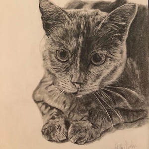 Hand Drawn Pet Pencil Portrait