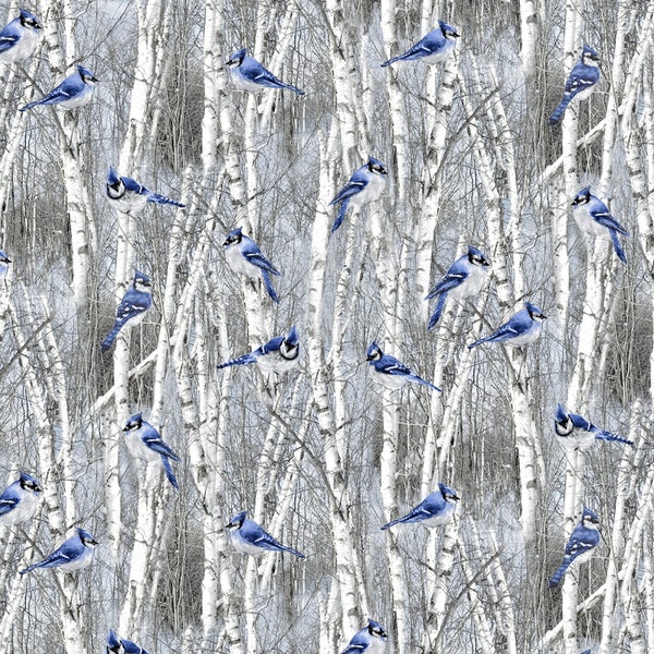 Winter Hike from Timeless Treasures - Half Yard of Blue Winter Blue Bird - Bluejays in Birch Trees