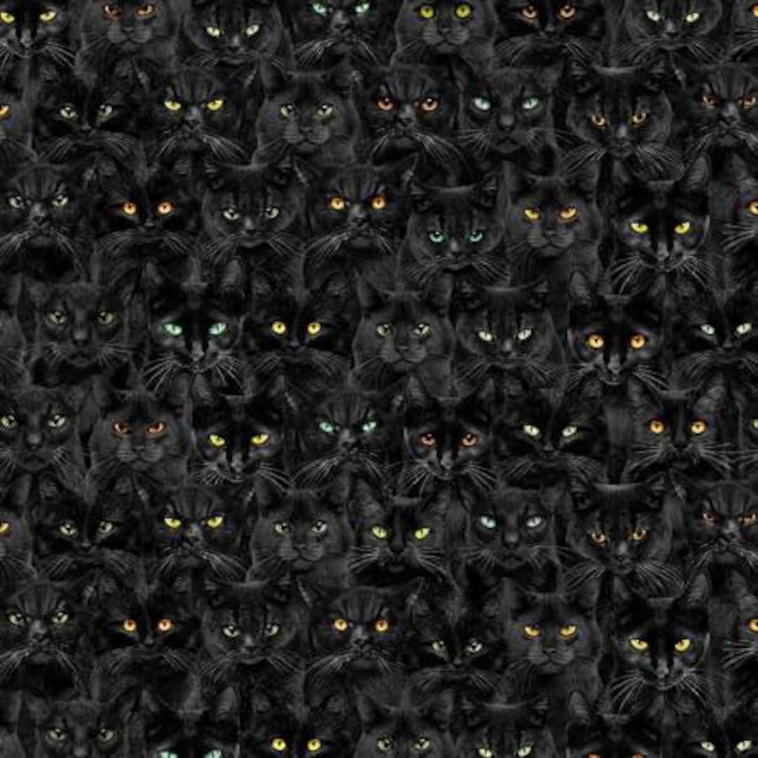 HARAJUKU BIBLE ～BLACK CATS Early Times … HARAJUKU BIBLE ～BLACK CATS Early Times … HARAJUKU BIBLE