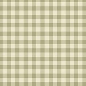 May include: A seamless pattern featuring a classic gingham design. The pattern consists of evenly spaced squares in a muted green and cream color palette. This versatile design is suitable for various applications, including fabric, wallpaper, and digital backgrounds.
