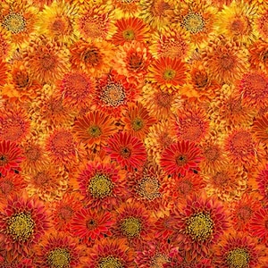 Thankful from Timeless Treasures - 1/2 Yard Autumn Ombré Metallic Mums - Fall Fabric