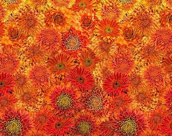 May include: A gradient of orange and red flowers, starting with pale yellow and transitioning to deep red. The flowers are densely packed together, creating a vibrant and colourful pattern.