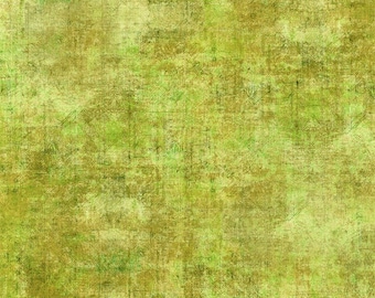 Halcyon Tonal von In the Beginning Fabrics - 1/2 Yard Lime Blender - 12HN19