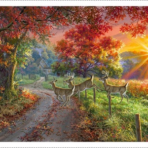 Through the Forest Light from 3 Wishes - 24&quot; x 44&quot;