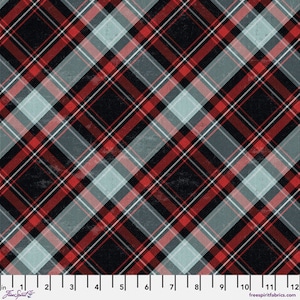 Puede incluir: Tela de cuadros rojos, negros y blancos con un aspecto desgastado. La tela se muestra con una regla para la escala.