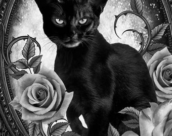 God of Roses 黒猫 〜Adult Black Cat JKT God of Roses 黒猫 〜Adult Black Cat JKT