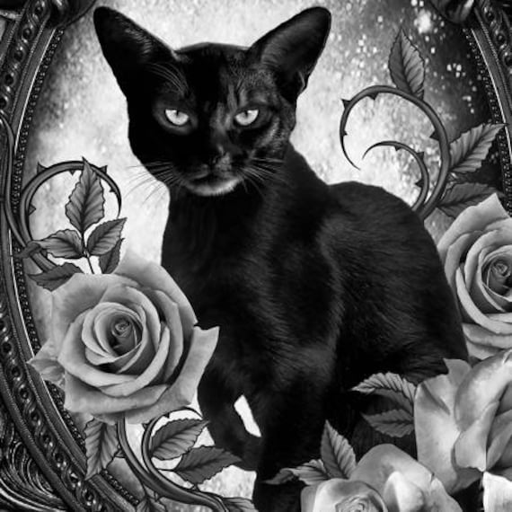 Black Cat Floral Portrait Panel From the Wicked Line for Timeless